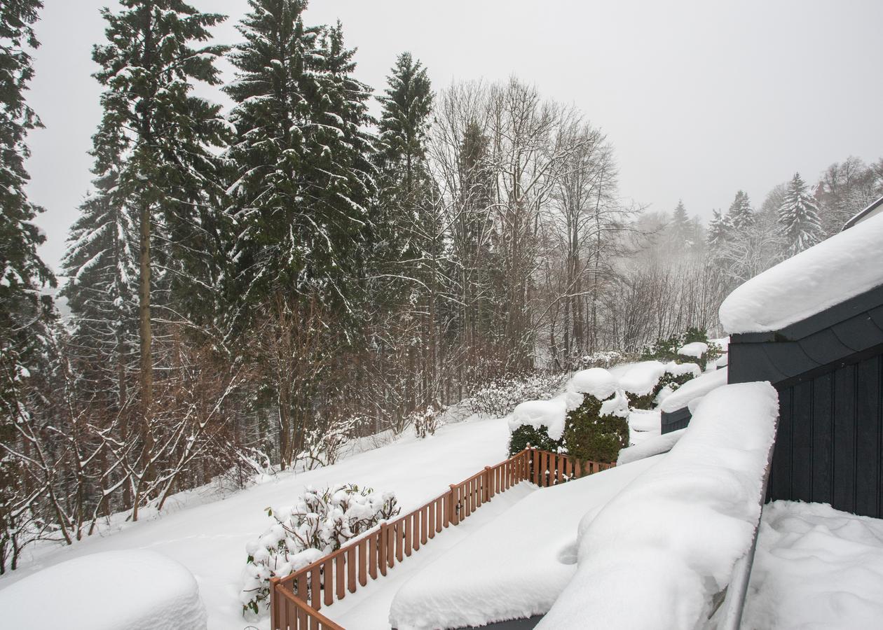 Brink Am Waltenberg 70 Apartment Winterberg